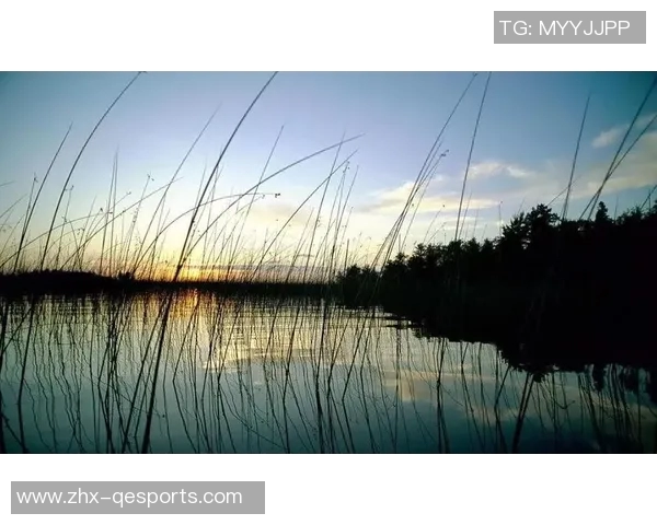 如何正确书写汉字足球中的足字及其构成解析